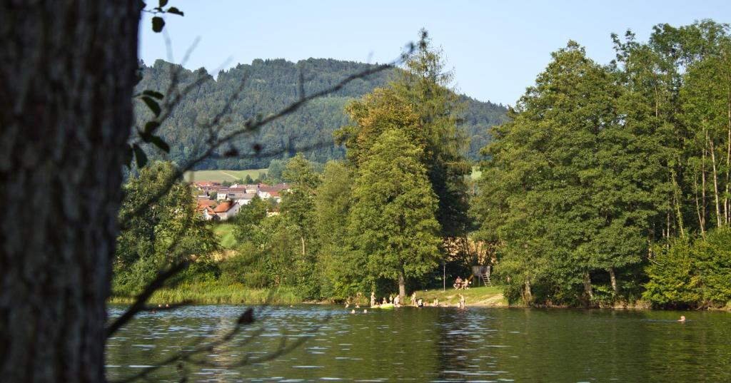 Hotel Der Seehof Hauzenberg Exterior photo